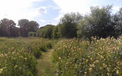 Eden Valley Woodland Burial Ground reaches new milestone in The Queen’s Platinum Jubilee Year – 500 Trees Planted
