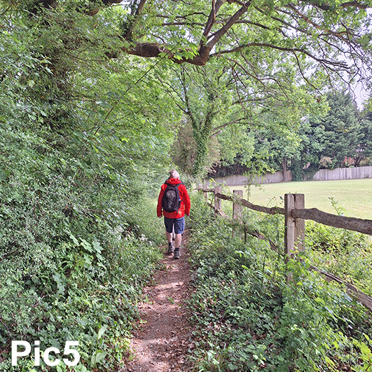 Image of a person walking along a woodland path
